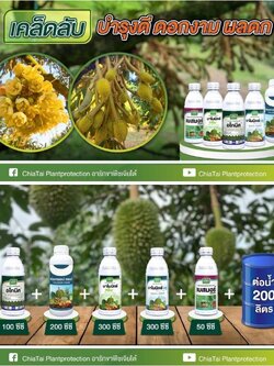 (ชุดบำรุงดอก) อโทนิค-ตราเจียไต๋ +ฟอลครอป คอมบี +มาโมมิกซ์ กรีน ขนาด 1 ลิตร+มาโมมิกซ์ บลู +เบสมอร์ เจียไต๋