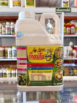 บิ๊กอะมิโน พลัส 4 ลิตร ขยายขนาดผล น้ำหนักดี ลูกโตไว ผลใหญ่ เนื้อแน่น สีสวย เพิ่มคุณภาพผลผลิต