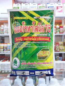 คลอโรทาโลนิล 75 # สารป้องกันและกำจัดโรคพืช เชื้อรา โรคใบจุด โรคราน้ำค้าง ขนาด 1กิโลกรัม