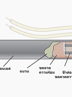 ฮีตเตอร์แท่ง Cartridge Heater ไฮเดนซิตี้ (High Density)