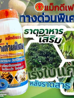 ทางด่วนพิเศษ แม็กนีเฟอร์ 1ลิตร สูตรเตรียมต้น เร่งใบแก่ สะสมอาหารโดยเฉพาะ