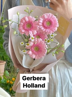 Small Bouquet ช่อ Gerbera Holland ขนาดเล็ก จำนวน 4 ดอก