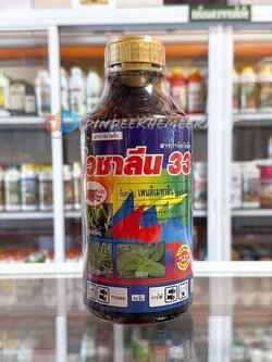 ไวซาลีน 33 เพนดิเมทาลีน 33 % W/V เข้แดง ขนาด 1 ลิตร ยาคุมแห้ง สารป้องกันวัชพืชงอกในนาหว่านแห้ง ควบคุมวัชพืชก่อนงอก