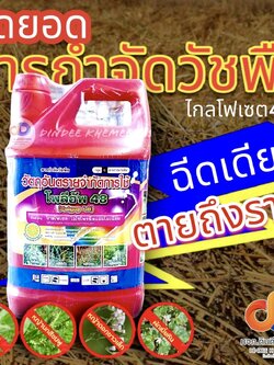 ไกล โฟเซต 48 (โพลีอัพ) - ขนาด 4 ลิตร - สารกำจัดวัชพืช กำจัดวัชพืชใบแคบ วัชพืชใบกว้างประเภทดูดซึม