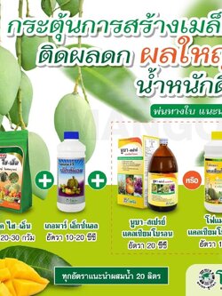 ชุดกระตุ้นการสร้างเมล็ด ติดผลดก ผลใหญ่ นูแทค ไฮ-เอ็น+เกอมาร์ เอ็กซ์แอล+โฟแมกซ์ แคลเซียมโบรอน 400