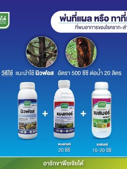 ชุด รักษา บาดแผลพืช นิวฟอส ขนาด 1 ลิตร+ แมงเกอร์ ขนาด 1 ลิตร+ เบสมอร์ ขนาด 1 ลิตร #ใช้ในการรักษาบาดแผลของพืช