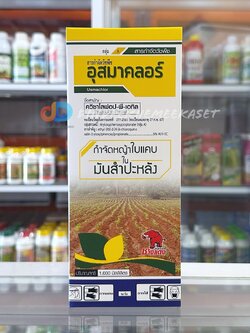 อุสมาคลอร์ สารกำจัดวัชพืช 1 ลิตร สารควิซาโลฟอป-พี-เอทิล 5% W/V กำจัดวัชพืชประเภทใบแคบในมันสำปะหลัง หญ้านกสีชมพู