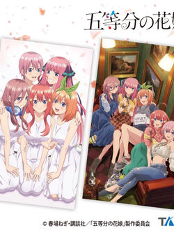 ผ้า เจ้าสาวผมเป็นแฝดห้า[The Quintessential Quintuplets -Multi Cloth- Ichika&Nino&Yotsuba&Itsuki&Miku]