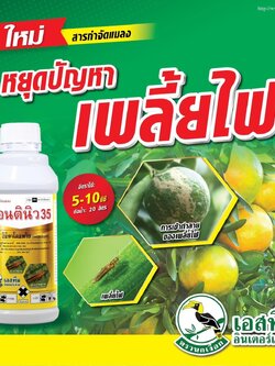 คอนตินิว 35 ชื่อสามัญ:อิมิดาโคลพริด 35% W/V SC ขนาด 1 ลิตร กำจัดเพลี้ยไฟ เพลี้ยกระโดด เพลี้ยอ่อน