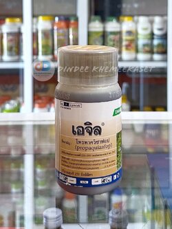 เอจิล #โพรพาควิซาฟอบ 10% W/V ECขนาด 250 ซีซี เพื่อกำจัดวัชพืชประเภทใบแคบ เช่น หญ้านกสีชมพู หญ้าตีนติด หญ้าตีนนก