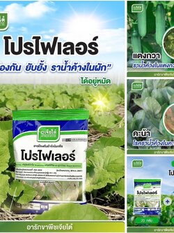 โปรไฟเลอร์ โรคราน้ำค้างในคะน้า ฟลูโอพิโคไล + ฟอสอีทิล-อะลูมิเนียม ขนาด 100 กรัม