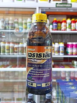 เอราธาลิน #ชื่อสามัญ เพนดิเมทาลิน กําจัดวัชพืช ช่น ข้าว อ้อย หอมแบ่ง กระเทียม ถั่วเหลือง ถั่วลิสง ผักกาด ขนาด1 ลิตร