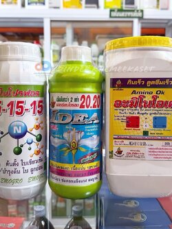 ชุดบำรุงผลอ่อน 15-15-15 + ไอเดีย20.20 + อะมิโนโอเค ดูแล บำรุงผลอ่อน ลดการหลุดร่วง ฟื้นฟูต้น ลูกจัมโบ้