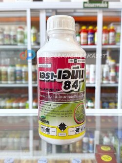 เอรา-เอมีน 84 2,4-ดี ไดเมทิลแอมโมเนียม ขนาด 1 ลิตร กำจัดวัชพืชเฉพาะใบกว้างและกก อ้อย ข้าวโพด กาแฟ ชา มันสำปะหลัง