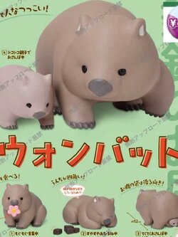 现货 日本正版 epoch 澳洲动物 可爱亲子 袋熊 摆件 扭蛋