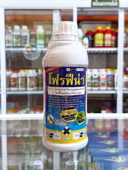 โฟรฟีน่า# (ไซเพอร์เมทริน 4% +โพรฟีโนฟอส ) ขนาด 1 ลิตรกำจัดหนอนเจาะผล หนอนกระทู้ ด้วง เพลี้ยไฟ เพลี้ยอ่อน เพลี้ยไก่แจ้