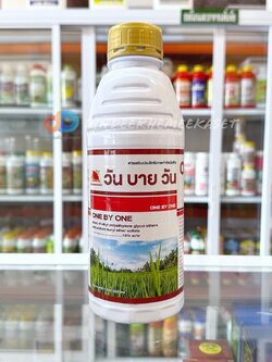 วันบายวัน ขนาด 1 ลิตร สารเสริมประสิทธิภาพ ยากำจัดวัชพืช ช่วยให้หญ้าตายเร็วขึ้น