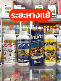 ชุดระยะหางแย้ เชื้อรา แมลง ฮอร์โมน ปุ๋ยน้ำ แบบครบชุด เอสทีม & อีโม่โกร