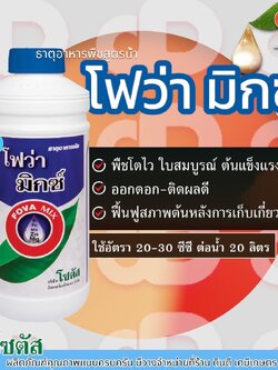 โฟว่า มิกซ์ ธาตุอาหารพืช พืชโตไว ใบสมบูรณ์ ต้นแข็งแรง ออกดอก-ติดผลดี ตราโซตัส ขนาด1 ลิตร