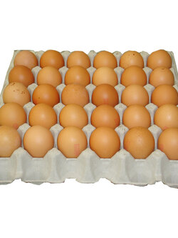 M-0060017 ไข่ไก่เบอร์ 2 (แผง) #