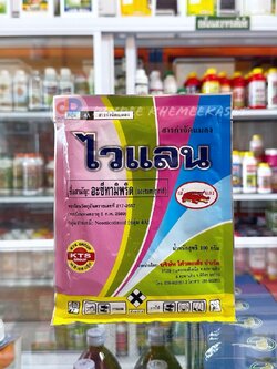 ไวแลน สาร อะซีทามิพริด 20%SP ขนาด 100 กรัม มีคุณสมบัติถูกตัวตาย กินตาย ดูดซึมและแทรกซึมผ่านปากใบ