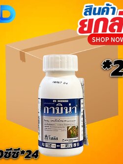 (ยกลัง24ขวด) กาบิน่า (Kabina)"กาบิน่า" ป้องกันกำจัดโรคใบจุดสีม่วง โรคราแป้ง ในพืชชนิดต่างๆ ได้ดีเยี่ยม ขนาด 100 ซีซี