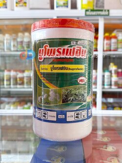 บูโพรเฟซิน ตราเข้แดง ขนาด 1 กิโลกรัม#ยาคุมไข่หนอนและแมลง ยาฆ่าและกำจัด เพลี้ย หนอน ทุกชนิด