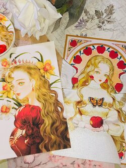 [The Elegant Daffodil] Collection