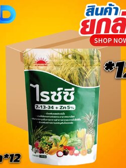 (ยกลัง 12 กก) ไรซ์ซี ปุ๋ยเกล็ด 7-13-34 +Zn 5% ตราพระอาทิตย์ ขนาด 1 กก. -บำรุงต้น บำรุงใบ แตกตาแดก แตกตายอด เกสรแข็งแรง