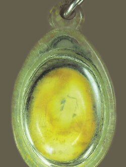 A5464 ล็อกเก็ตหลวงปุู่จันทร์ วัดนางหนู ลพบุรี เลี่ยมพลาสติกเก่า ไม่ทราบปี 4