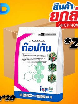 (ยกลัง*20 กก.) ท๊อปกัน (เขียว)สารแมนโคเซบ80% WP ขนาด1 กิโลกรัม ใช้ป้องกันกำจัด โรคแอนแทรสโนส โรคจุด โรคราดำ โรคใบจุดสนิท