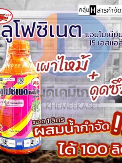 กลูโฟซิเนต-แอมโมเนียม ขนาด 1 ลิตร ตราเข้แดง ฆ่าหญ้าใบแคบใบกว้าง เผาไหม้ ตายถึงรากถึงโคน ดูดซึมเร็ว ไม่ตกค้างในดิน