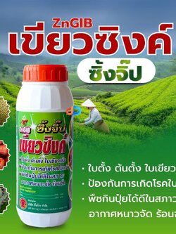 ซิ้งจิ๊ป-เขียวซิงค์ ธาตุสังกะสี ขนาด 1 ลิตร ใบตั้ง ต้นตั้ง ใบเขียวเข้ม ป้องกันการเกิดโรคใบแก้ว