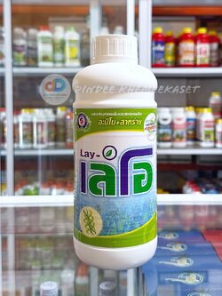 เลโอ สาหร่ายสีเขียวเข้มข้น + อะมิโน ขนาด 1 ลิตร ใช้ในการสังเคราะห์ฮอร์โมนที่ใช้ในการเจริญเติบโตต่างๆภายในพืช