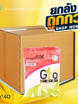 ยกลัง40กิโล) ปุ๋ยเกล็ด 0-0-60 นูทริแพค60เค ขนาด 1 กิโลกรัม เร่งแป้ง เร่งขนาด เร่งน้ำหนัก ตรา ฟิชชิ่งแมน