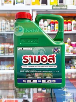 รามอส (Ramos) ขนาด4ลิตร สารกลูโฟซิเนต-แอมโมเนียม ยากำจัดวัชพืชประเภทใบกว้าง ใบแคบ หญ้าปากควาย และกก