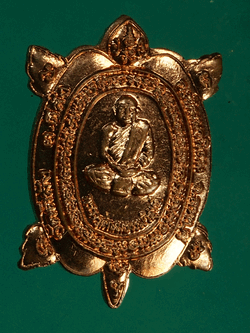 B2890 เหรียญพญาเต่าเรือน หลวงพ่อสนม วัดดีลัง ลพบุรี 10