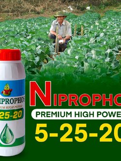 ปุ๋ยน้ำ 5-25-20 ปุ๋ยน้ำฉีดทางใบ ขนาด 1 ลิตร สูตรอั้นยอด สะสมดอก ดอกดก ดอกใหญ่ ดอกดี ดอกสมบูรณ์