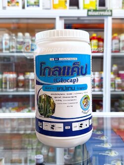 โกลแค็ป ขนาด 1 กิโลกรัม สารป้องกันกำจัดโรคใบจุด ใบขีด แอนแทรคโนส ในพืชต่างๆ