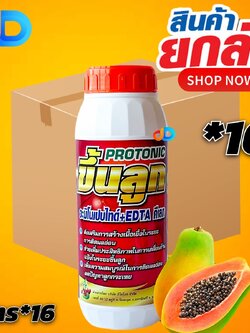 (ยกลัง 16 ขวด) โปรโตรนิก (Protonic)-ขึ้นลูก อะมิโนเปบไทด์+EDTA คีเลท ขนาด 1 ลิตร