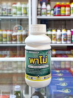 พาโม่ ขนาด 500 ซีซี ไพราโคลสโตรบิน (pyraclostrobin)………..25% EC ใช้ป้องกันกำจัด ใบไหม้ ใบติด แอนแทรคโนส