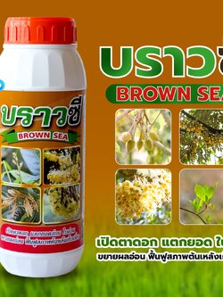 บราวซี (BROWN SEA) สาหร่ายทะเลสีน้ำตาล 20%w/w -ขนาด 1 ลิตร #เปิดตาดอก แตกยอดใบอ่อน