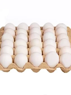 M-0060018 ไข่เป็ด 03 (แผง)#