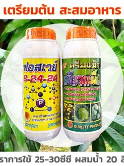 ชุดสะสมอาหาร เพิ่มการออกดอก 8-24-24 + เขียวแม็ก ช่วยในการสะสมอาหาร บำรุงดอก สร้างน้ำตาล ต้นตั้งเขียว ใบตั้ง ไม่ล้มง่าย