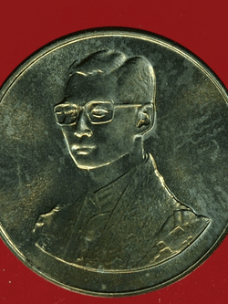 B2518 เหรียญในหลวงรัชกาลที่ 9 เดินการกุศลเทริดพระเกียรติ 5