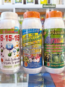 ชุดขยายใบ ใบสวย 15-15-15 + สปีดไบด์ + เขียวแม็ก ช่วยในการสร้างใบ ขยายใบ ใบเขียวเข้ม