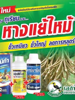 โทนิก้า สารประกอบไนโตรฟีนอล ขนาด 1 ลิตร + เอสทีม ทรู ไฮ-แคลเซียม ขนาด 1 ลิตร + คาร์บามิน ธาตุอาหารรองเสริม ขนาด 1 ลิตร