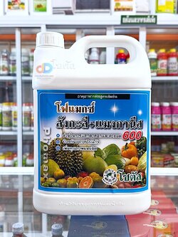 โฟแมกซ์ สังกะสี+แมงกานีส 600 ขนาด 5 ลิตร ช่วยในการแตกตาดอกและตายอด ป้องกันอาการใบแก้ว