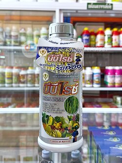 บีบีไรซ์ ซิลเวอร์ (แต่งตัว รับท้อง) รับท้อง ต้นพุ่ง กระทุ้งรวง ขนาดบรรจุ 1 ลิตร