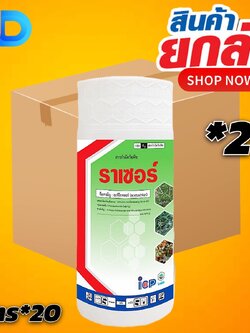 (ยกลัง 20 ขวด) ราเซอร์ สาร อะซีโทคลอร์ 50% W/V EC ขนาด 1 ลิตร ICP ใช้ในอ้อย ข้าวโพด มันสำปะหลัง